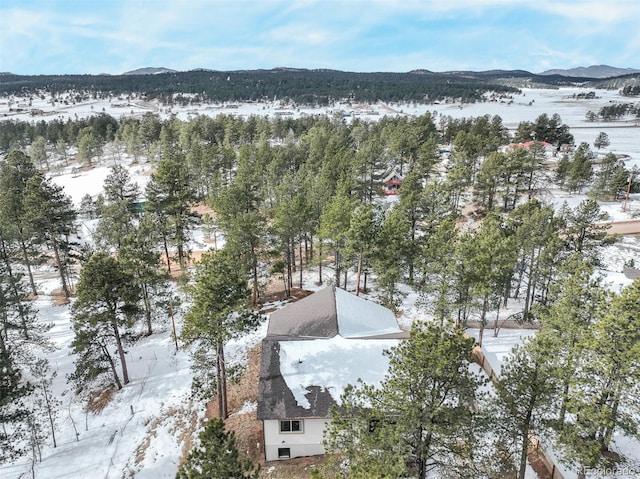 snowy aerial view with a mountain view