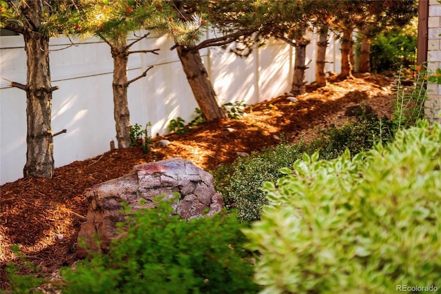 3231 Oak St, Wheat Ridge, CO 80033 - view of yard