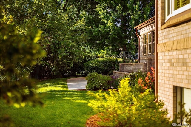 3231 Oak St, Wheat Ridge, CO 80033 - view of green lawn
