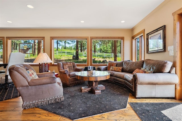 12351 S Ridge Rd, Conifer, CO 80433 - photo 13