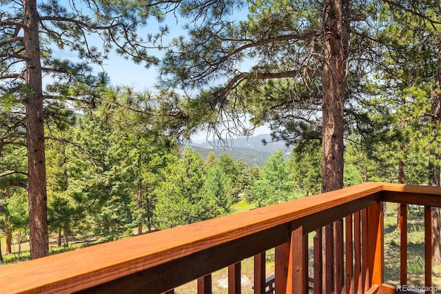 12351 S Ridge Rd, Conifer, CO 80433 - photo 33