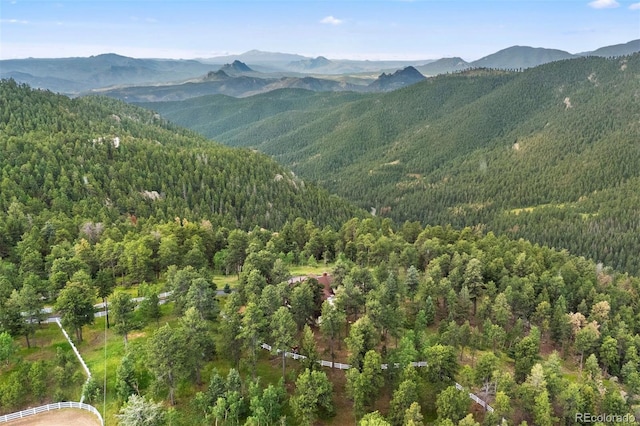 12351 S Ridge Rd, Conifer, CO 80433 - photo 49