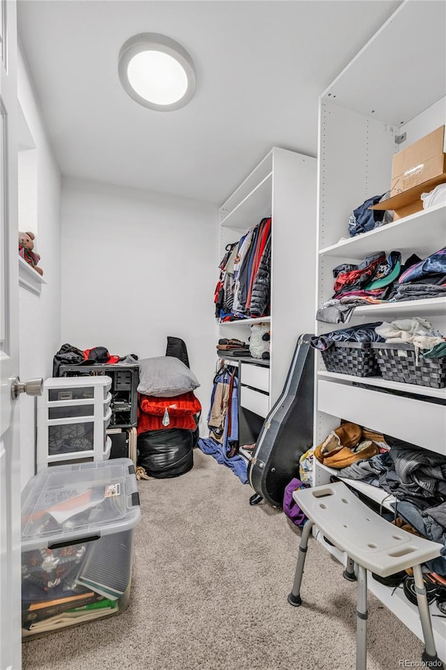5417 Central Park Blvd, Denver, CO 80238 - photo 10