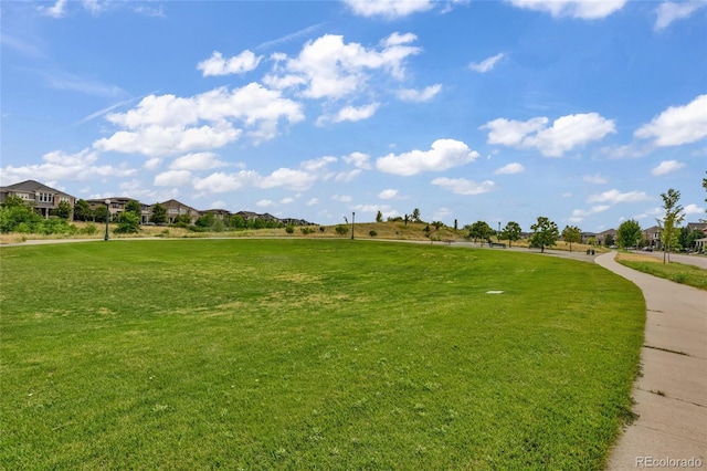 5417 Central Park Blvd, Denver, CO 80238 - photo 18