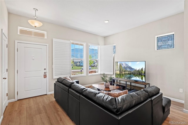 48 Mayflower Park Pl, Colorado Springs, CO 80905 - living room with light wood-type flooring