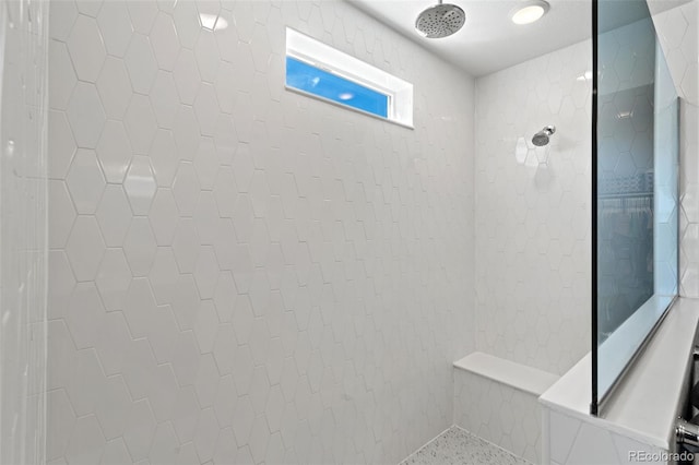 48 Mayflower Park Pl, Colorado Springs, CO 80905 - bathroom view of a tile shower