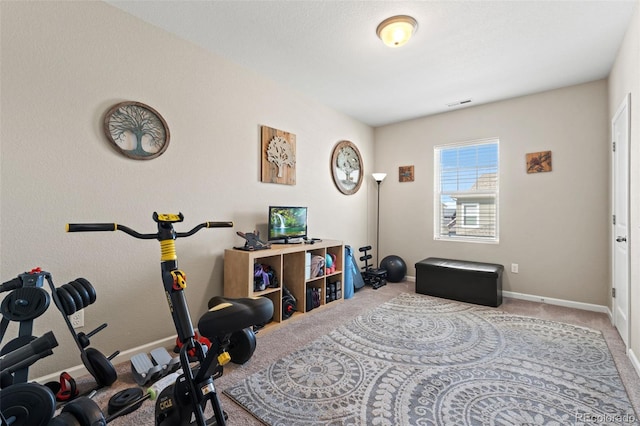 48 Mayflower Park Pl, Colorado Springs, CO 80905 - exercise room featuring carpet flooring and baseboards