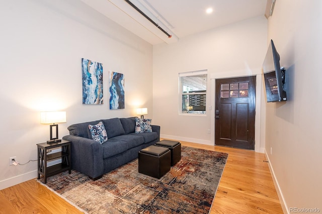 824 Grand Ave Unit 4, Grand Lake, CO 80447 - living room featuring light wood-type flooring, baseboards, and rail lighting