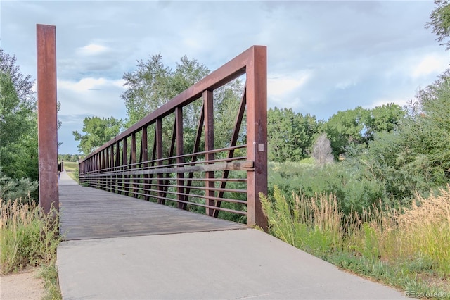 8720 Starwood Ln, Parker, CO 80134 - photo 44