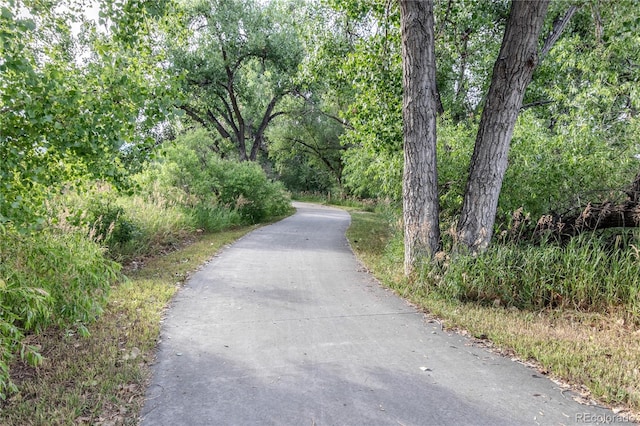 8720 Starwood Ln, Parker, CO 80134 - photo 45