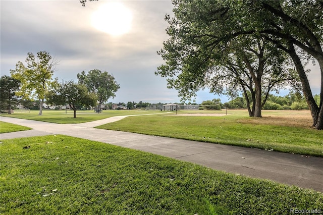 8720 Starwood Ln, Parker, CO 80134 - photo 46