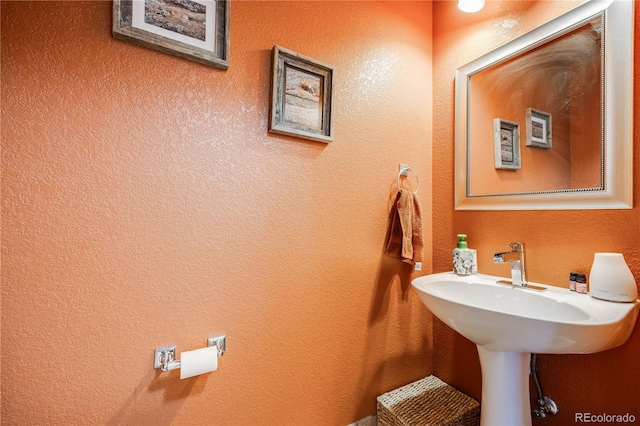 9674 Fox Den Dr, Littleton, CO 80125 - photo 15