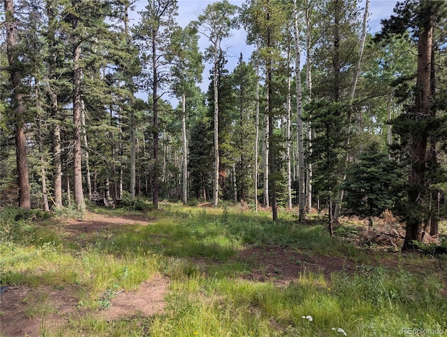 3079 Henderson Dr, Fort Garland, CO 81133 - photo 3