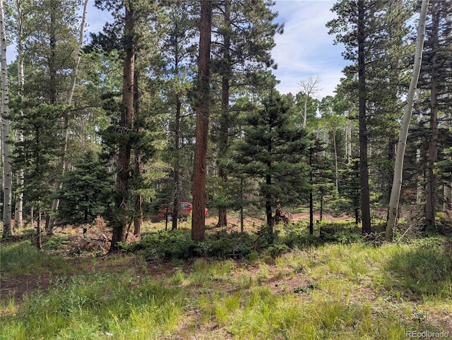 3079 Henderson Dr, Fort Garland, CO 81133 - photo 4