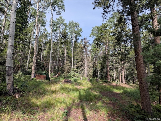 3079 Henderson Dr, Fort Garland, CO 81133 - photo 13