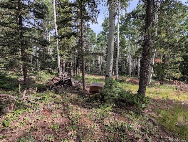 3079 Henderson Dr, Fort Garland, CO 81133 - photo 14