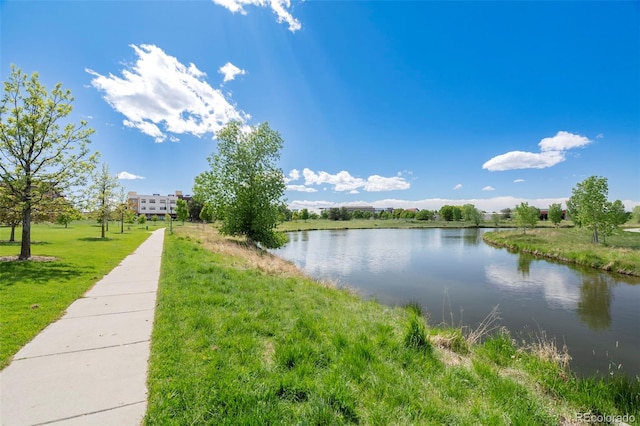 84 Spruce St Unit 707, Denver, CO 80230 - water view