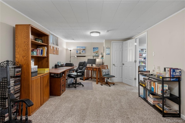 office featuring light colored carpet