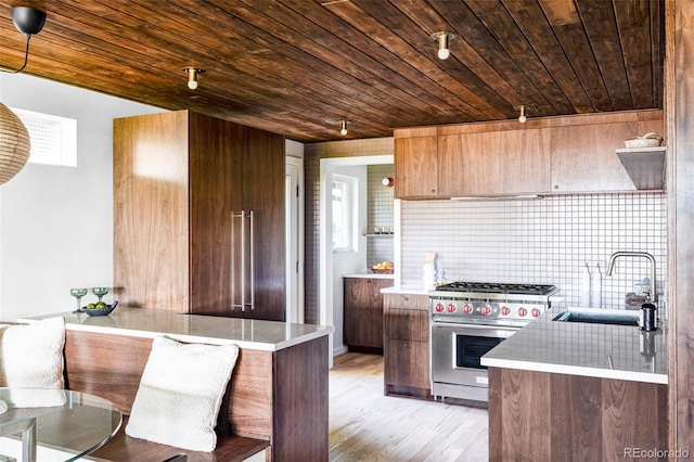 kitchen with light wood finished floors, a sink, decorative backsplash, light countertops, and premium stove