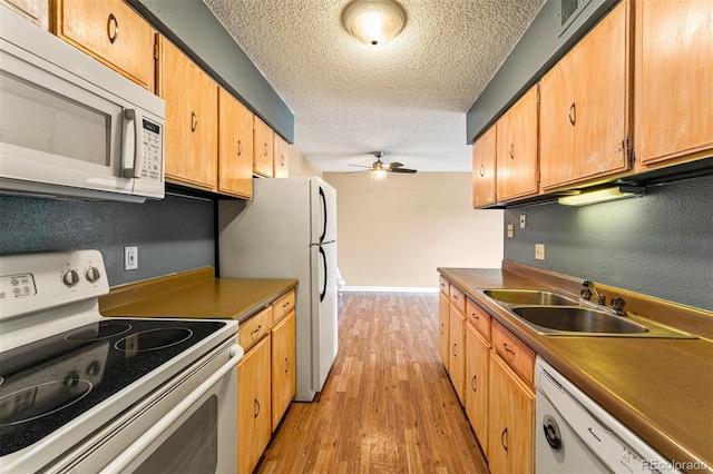 kitchen with a textured ceiling, white appliances, ceiling fan, sink, and light hardwood / wood-style flooring