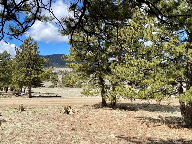 0 Oahu Rd, Buena Vista, CO 81211
