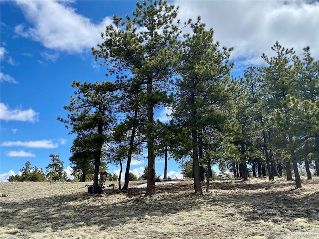 0 Oahu Rd, Buena Vista, CO 81211