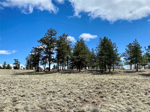 0 Oahu Rd, Buena Vista, CO 81211