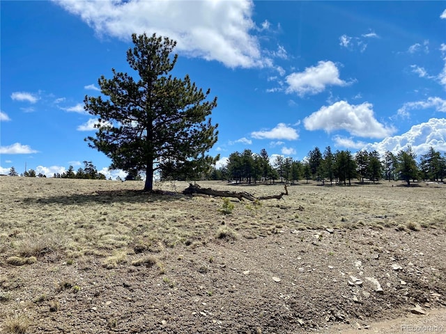 0 Oahu Rd, Buena Vista, CO 81211