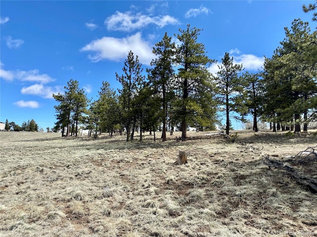 0 Oahu Rd, Buena Vista, CO 81211