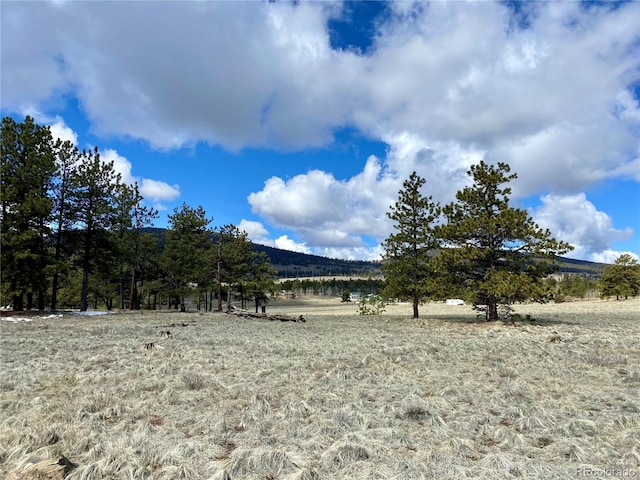 0 Oahu Rd, Buena Vista, CO 81211