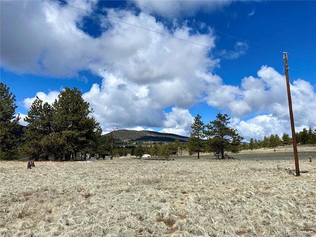 0 Oahu Rd, Buena Vista, CO 81211