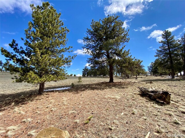 0 Oahu Rd, Buena Vista, CO 81211