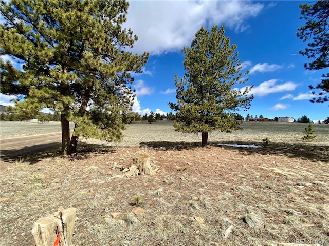 0 Oahu Rd, Buena Vista, CO 81211
