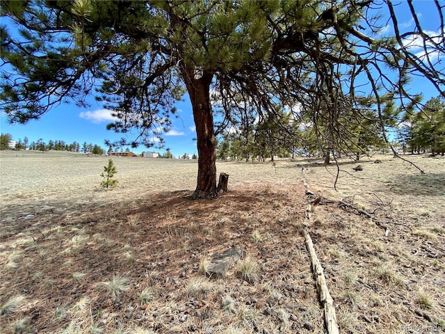 0 Oahu Rd, Buena Vista, CO 81211