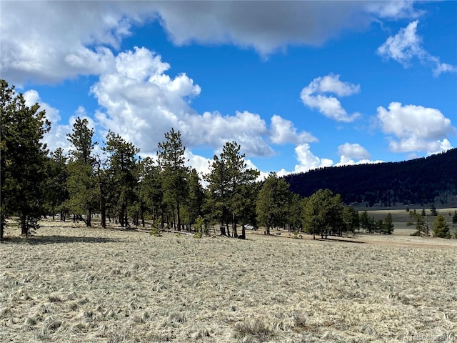 0 Oahu Rd, Buena Vista, CO 81211