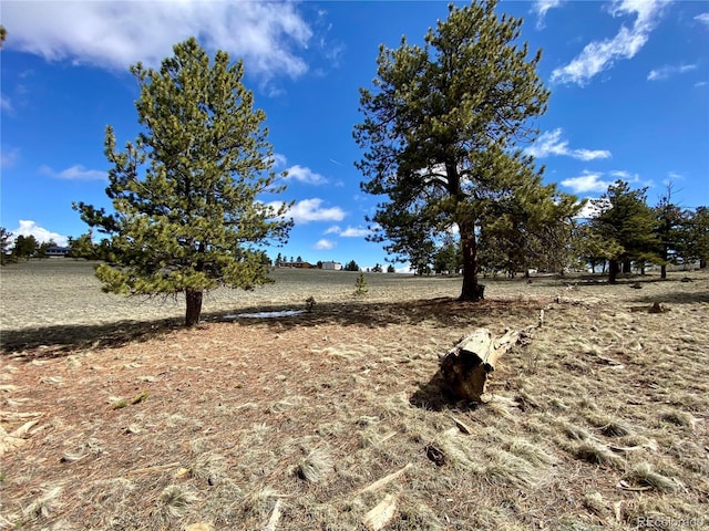 0 Oahu Rd, Buena Vista, CO 81211