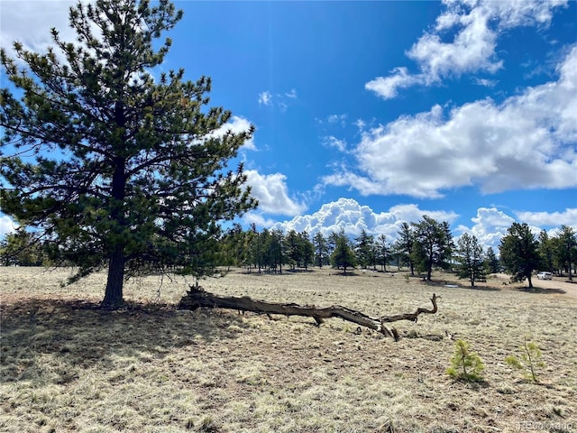 0 Oahu Rd, Buena Vista, CO 81211