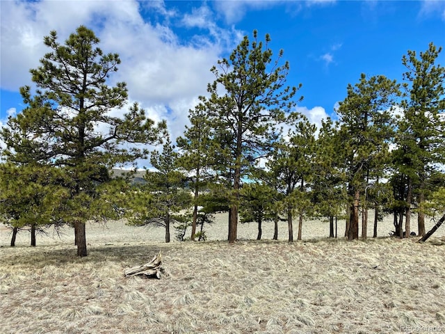 0 Oahu Rd, Buena Vista, CO 81211