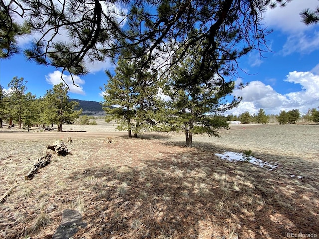 0 Oahu Rd, Buena Vista, CO 81211