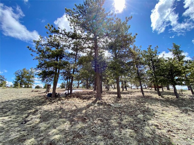 0 Oahu Rd, Buena Vista, CO 81211