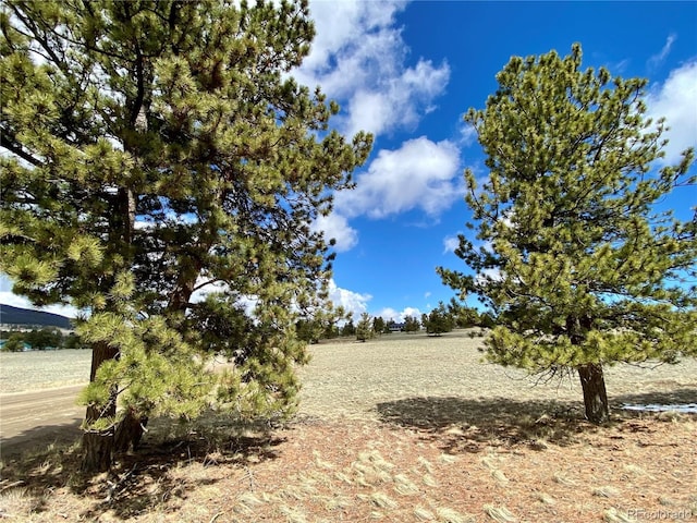 0 Oahu Rd, Buena Vista, CO 81211