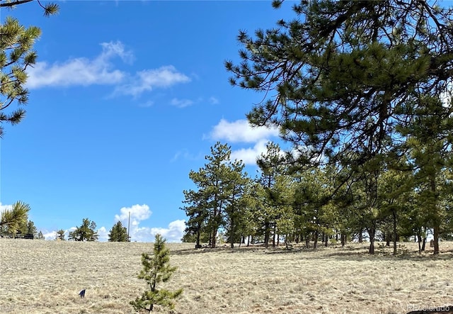 0 Oahu Rd, Buena Vista, CO 81211