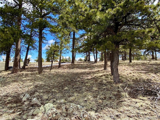 0 Oahu Rd, Buena Vista, CO 81211