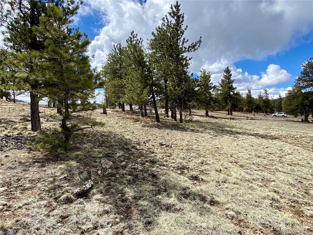 0 Oahu Rd, Buena Vista, CO 81211