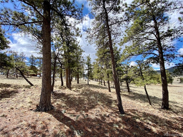 0 Oahu Rd, Buena Vista, CO 81211