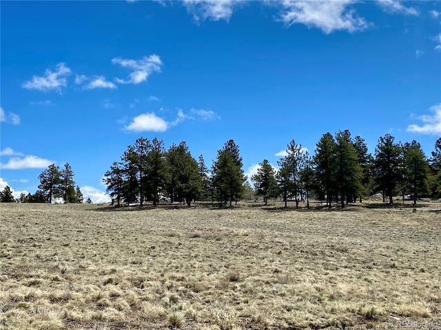 0 Oahu Rd, Buena Vista, CO 81211
