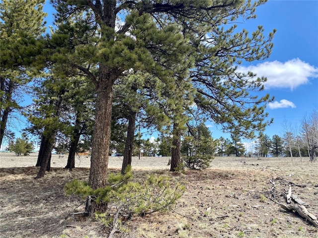 0 Oahu Rd, Buena Vista, CO 81211