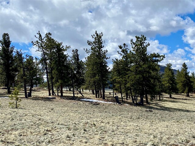 0 Oahu Rd, Buena Vista, CO 81211