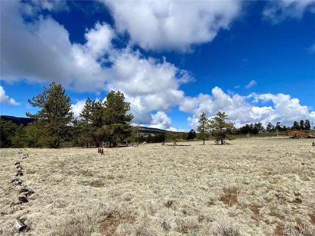 0 Oahu Rd, Buena Vista, CO 81211