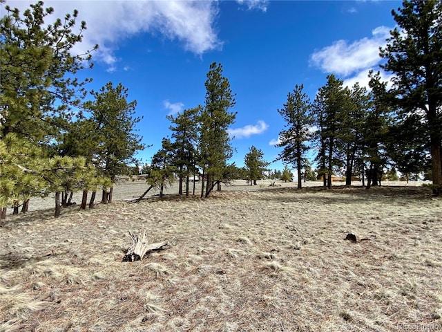 0 Oahu Rd, Buena Vista, CO 81211